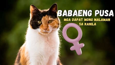 pinay teen pekpek|10 Bagay Na Dapat Mong Malaman Tungkol Sa Iyong Vagina.